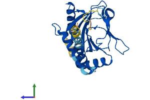 Protein Structure (PS) image for Egl-9 Family Hypoxia Inducible Factor 3 (EGLN3) (AA 1-239) protein (His tag) (ABIN7553810)