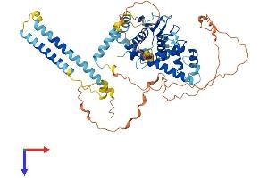 AlphaFold protein structure predicition of Human Recombinant TMEM209 Protein, UniprotID Q96SK2 (TMEM209 Protein (AA 1-561) (His tag))