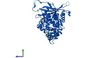 Protein Structure (PS) image for Epoxide Hydrolase 1, Microsomal (Xenobiotic) (EPHX1) (AA 1-455) protein (His tag) (ABIN7548440)