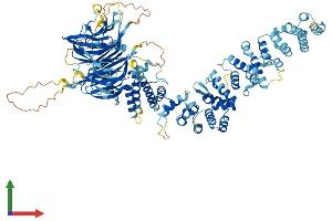 AlphaFold protein structure predicition of Mouse Recombinant Hps3 Protein, UniprotID Q91VB4