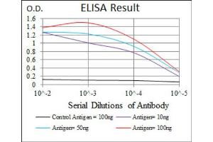 Red: Control Antigen (100ng) ; Purple: Antigen (10ng) ; Green: Antigen (50ng) ; Blue: Antigen (100ng). (Sonic Hedgehog 抗体  (AA 26-161))