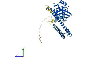 Protein Structure (PS) image for COP9 Signalosome Complex Subunit 6 (COPS6) (AA 1-327) protein (His tag) (ABIN7553560)