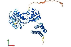 Protein Structure (PS) image for Replication Factor C (Activator 1) 2, 40kDa (RFC2) (AA 1-354) protein (His tag) (ABIN7551363)