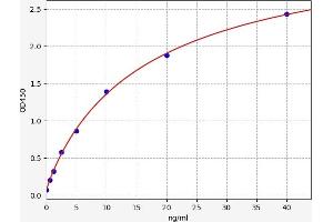 Typical standard curve (DDIT3 ELISA 试剂盒)