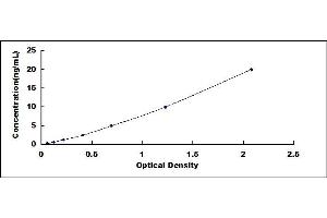 Typical standard curve (TBK1 ELISA 试剂盒)