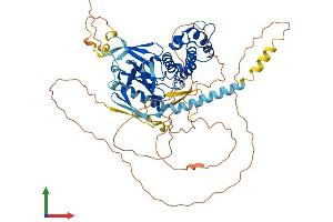 Protein Structure (PS) image for FERM Domain Containing 6 (FRMD6) (AA 1-622) protein (His tag) (ABIN7547767)