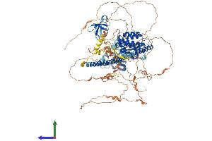 Protein Structure (PS) image for Mitogen-Activated Protein Kinase Kinase Kinase 10 (MAP3K10) (AA 1-954) protein (His tag) (ABIN7549265)