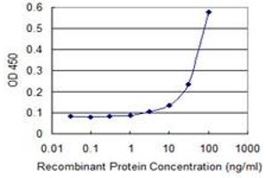 Detection limit for recombinant GST tagged ERBB3 is 3 ng/ml as a capture antibody. (ERBB3 抗体  (AA 1-130))