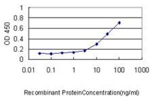 ELISA image for anti-Sestrin 2 (SESN2) (AA 1-481) antibody (ABIN466250) (Sestrin 2 抗体  (AA 1-481))