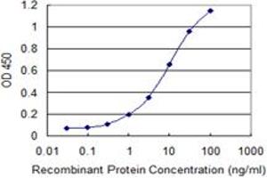 Detection limit for recombinant GST tagged IMPA1 is 0. (IMPA1 抗体  (AA 1-277))
