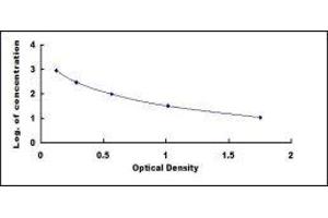 5-Hydroxytryptamine (5-HT) ELISA Kit