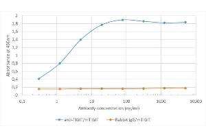 Binding curve of anti-TIGIT antibody 1B4 (ABIN7072547) to recombinant mouse TIGIT Fc-Fusion Protein. (Recombinant TIGIT 抗体)