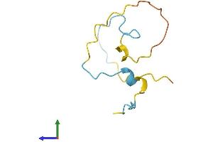 Protein Structure (PS) image for Small Muscle Protein, X-Linked (SMPX) (AA 1-85) protein (Fc Tag) (ABIN7561324)