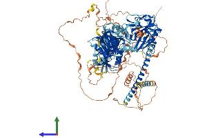 AlphaFold protein structure predicition of Mouse Recombinant Sipa1 Protein, UniprotID P46062