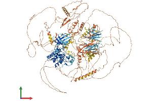 Protein Structure (PS) image for Nik Related Kinase (NRK) (AA 1-1582) protein (His tag) (ABIN7554764)