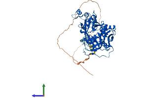 Protein Structure (PS) image for N-Myristoyltransferase 1 (NMT1) (AA 1-496) protein (His tag) (ABIN7562534)