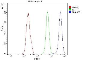 Flow Cytometry analysis of PC-3 cells using anti-Ran antibody (ABIN7600473).