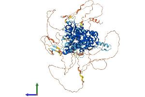 Protein Structure (PS) image for Family with Sequence Similarity 120A (FAM120A) (AA 1-1118) protein (His tag) (ABIN7553868)