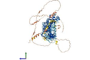 AlphaFold protein structure predicition of Human Recombinant NGEF Protein, UniprotID Q8N5V2