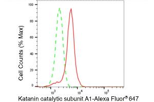 Flow cytometric analysis of Katanin catalytic subunit A1 expression in HeLa cells using Katanin catalytic subunit A1 antibody (ABIN7800946), 1:2,000). (Recombinant KATNA1 抗体)