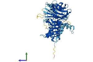 Protein Structure (PS) image for DET1 (DET1) (AA 1-550) protein (His tag) (ABIN7547022)