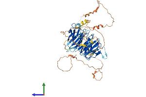 Protein Structure (PS) image for DDB1 and CUL4 Associated Factor 10 (DCAF10) (AA 1-559) protein (His tag) (ABIN7547008)