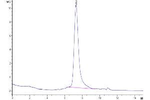 Size-exclusion chromatography-High Pressure Liquid Chromatography (SEC-HPLC) image for GDNF Family Receptor alpha Like (GFRAL) protein (His-Avi Tag) (ABIN7274739)