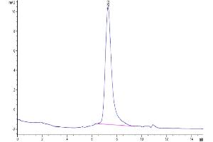 The purity of Mouse GFRAL is greater than 95 % as determined by SEC-HPLC. (GFRAL Protein (His-Avi Tag))