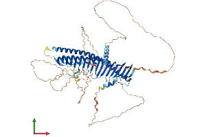 Protein Structure (PS) image for Junctophilin 1 (JPH1) (AA 1-660) protein (His tag) (ABIN7565073)