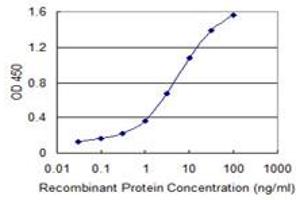 Detection limit for recombinant GST tagged MYCBP is 0. (MYCBP 抗体  (AA 34-103))