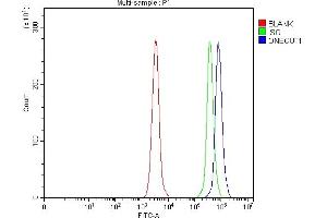 Flow Cytometry analysis of Daudi cells using anti-ONECUT1 antibody (ABIN7599190). (ONECUT1 抗体  (AA 1-270))