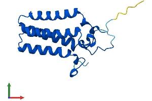 Protein Structure (PS) image for ORM1-Like 3 (ORMDL3) (AA 1-153) protein (His tag) (ABIN7550263)