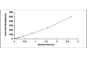 Typical standard curve (IL12 ELISA 试剂盒)