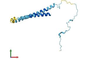 Protein Structure (PS) image for Synuclein, alpha (SNCA) (AA 1-140) protein (His tag) (ABIN7562469)