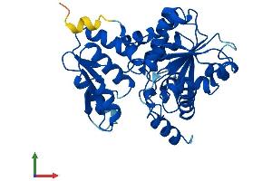 Protein Structure (PS) image for Serine Dehydratase-Like (SDSL) (AA 1-329) protein (His tag) (ABIN7545933)