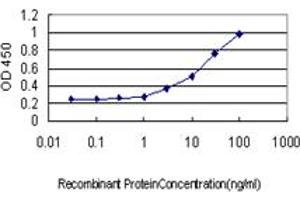 Detection limit for recombinant GST tagged AOF2 is approximately 0. (LSD1 抗体  (AA 753-851))