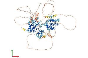 Protein Structure (PS) image for Zinc Finger, FYVE Domain Containing 28 (ZFYVE28) (AA 1-905) protein (His tag) (ABIN7564159)