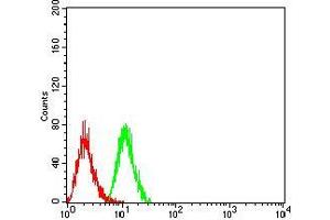 Flow cytometric analysis of Hela cells using PSMC3 mouse mAb (green) and negative control (red). (PSMC3 抗体  (AA 53-152))
