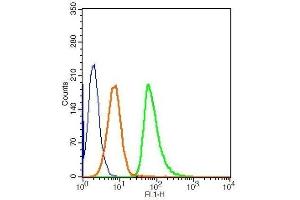 Flow Cytometry (FACS) image for anti-Caspase 3 (CASP3) (AA 60-100) antibody (ABIN724625)