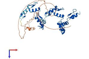 ZNF121 Protein (AA 1-390) (His tag)