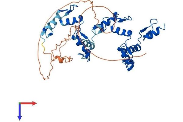 ZNF121 Protein (AA 1-390) (His tag)