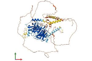 AlphaFold protein structure predicition of Human Recombinant DCAF6 Protein, UniprotID Q58WW2