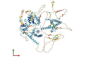 Protein Structure (PS) image for CTF18, Chromosome Transmission Fidelity Factor 18 Homolog (CHTF18) (AA 1-975) protein (His tag) (ABIN7553598)
