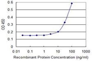 Detection limit for recombinant GST tagged RHOC is 3 ng/ml as a capture antibody. (RHOC 抗体  (AA 1-193))