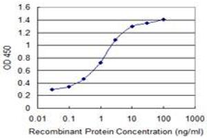 Detection limit for recombinant GST tagged IL23R is 0. (IL23R 抗体  (AA 553-628))