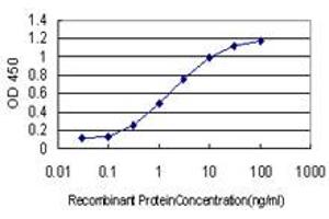 Detection limit for recombinant GST tagged NUP62 is approximately 0. (NUP62 抗体  (AA 1-522))