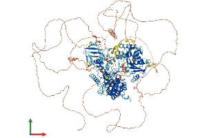 Protein Structure (PS) image for RAD54-Like 2 (RAD54L2) (AA 1-1466) protein (His tag) (ABIN7564918)
