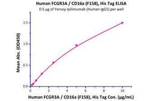 Binding Studies (Bind) image for Fc Fragment of IgG, Low Affinity IIIa, Receptor (CD16a) (FCGR3A) (AA 17-208) (Active) protein (His tag) (ABIN2181078)