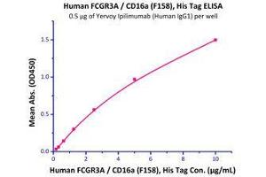 Immobilized Yervoy Ipilimumab at 5 μg/mL (100 μl/well) can bind Human FCGR3A / CD16a (F158), His Tag (Cat# CDA-H5220) with a linear range of 0. (FCGR3A Protein (AA 17-208) (His tag))