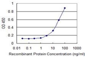 Detection limit for recombinant GST tagged ETS1 is 1 ng/ml as a capture antibody. (ETS1 抗体  (AA 173-272))
